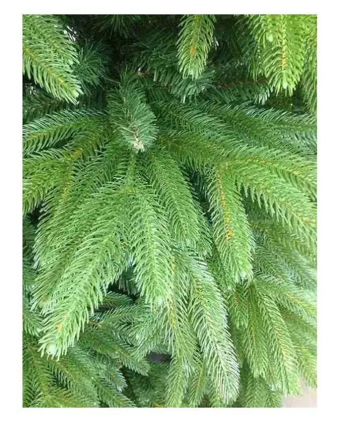 Albero Di Natale Oscar 210 Cm 90% Pe Real Touch | >XONE New