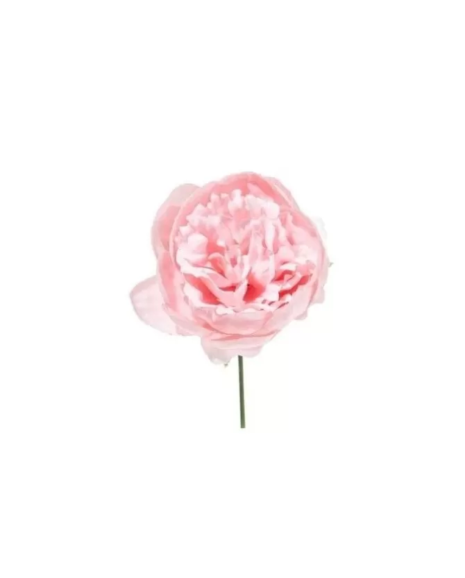 Pick Peonia O11Cm H19Cm Cipria O11Cm H19Cm Per Decorazioni Di Natale>ARPIMEX Outlet