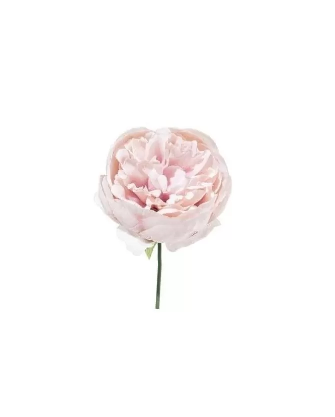 Pick Peonia O11Cm H19Cm Vaniglia Per Decorazioni Di Natale>ARPIMEX New