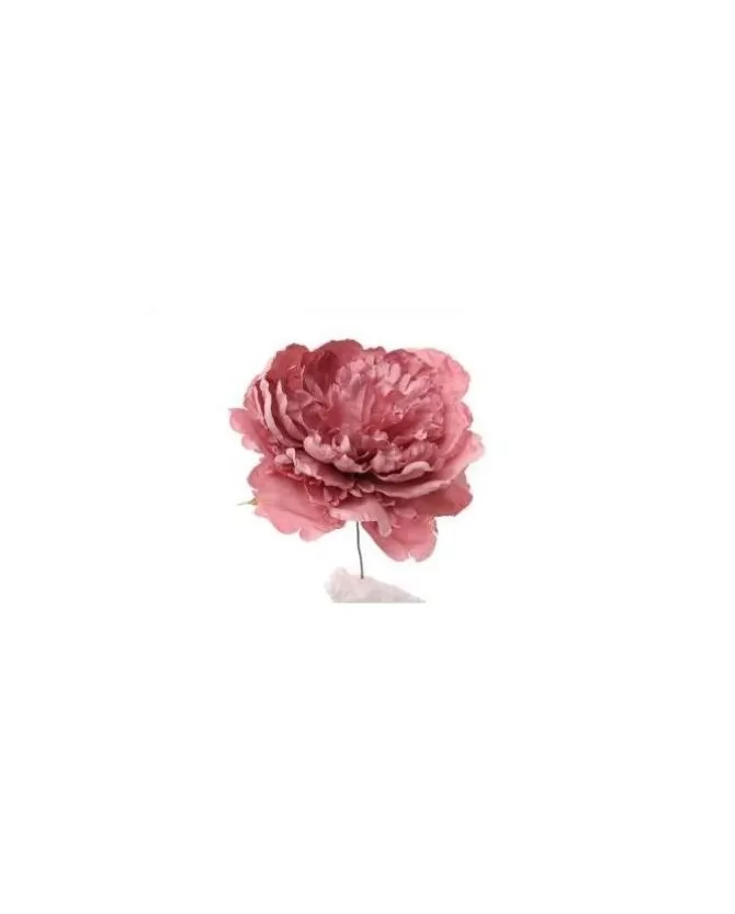 Pick Peonia Rosa>ARPIMEX Discount